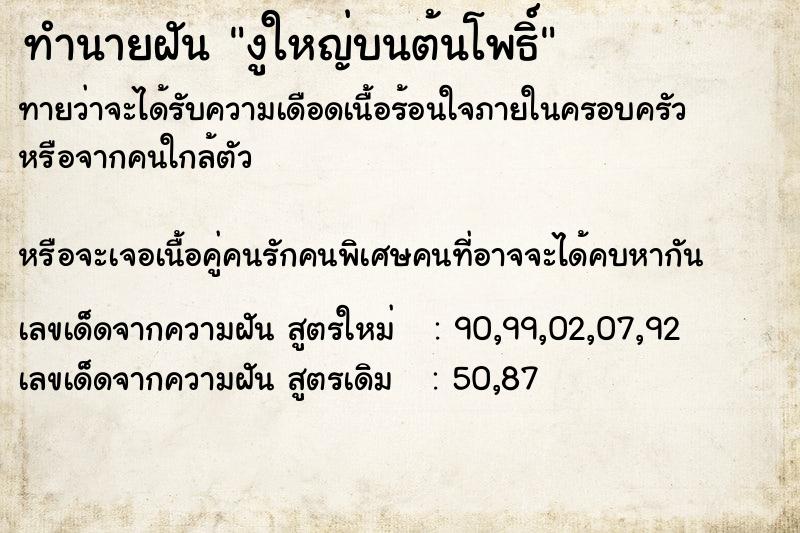 ทำนายฝันงูใหญ่บนต้นโพธิ์ ทำนายฝันทำนายฝันงูใหญ่บนต้นโพธิ์