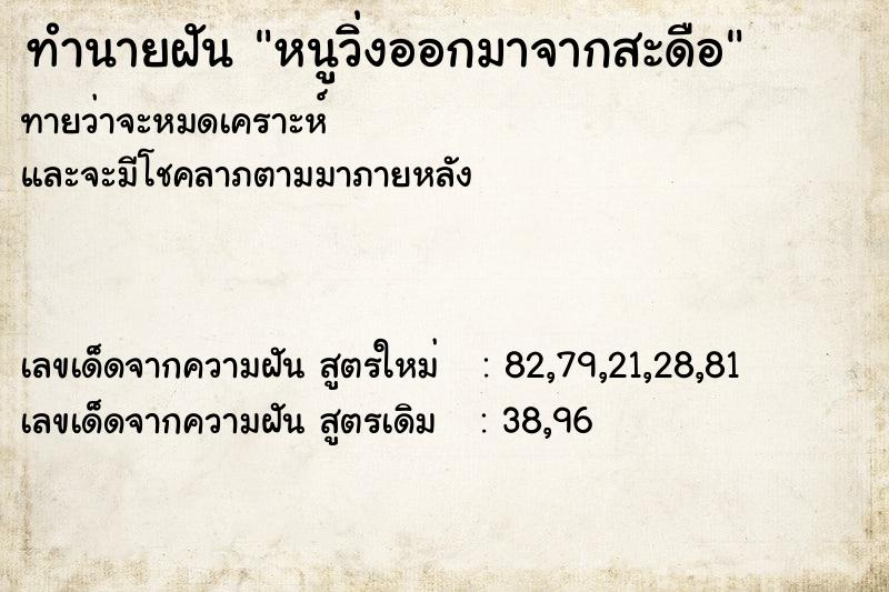 ทำนายฝันทำนายฝันหนูวิ่งออกมาจากสะดือ