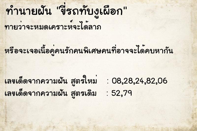 ทำนายฝันทำนายฝันขี่รถทับงูเผือก