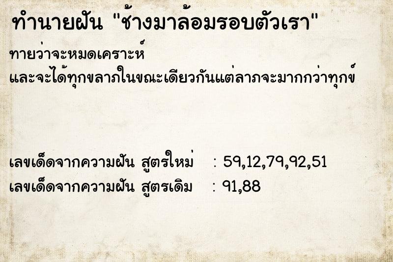 ทำนายฝัน ช้างมาล้อมรอบตัวเรา ตำราโบราณ แม่นที่สุดในโลก