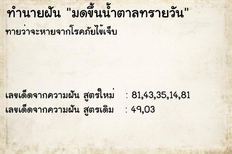 ทำนายฝันทำนายฝันมดขึ้นน้ำตาลทรายวัน