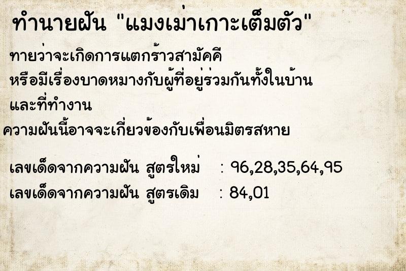 ทำนายฝันทำนายฝันแมงเม่าเกาะเต็มตัว