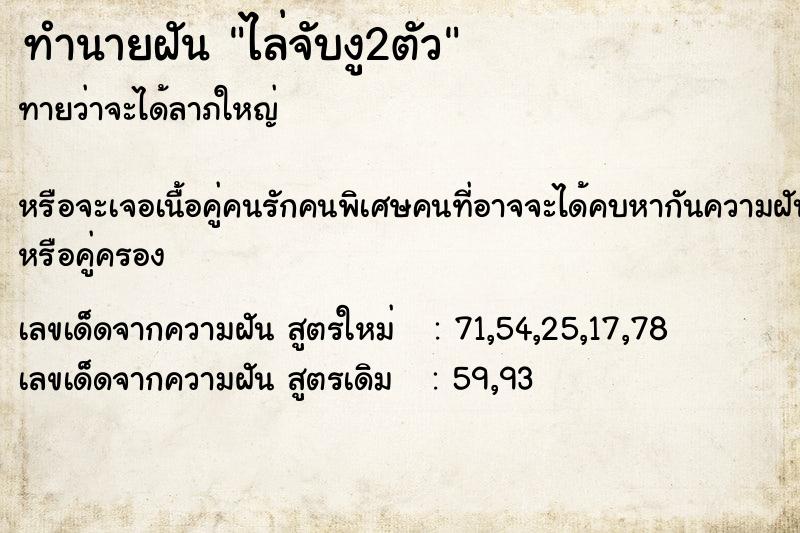 ทำนายฝัน ไล่จับงู2ตัว ทำนายฝัน ไล่จับงู2ตัว