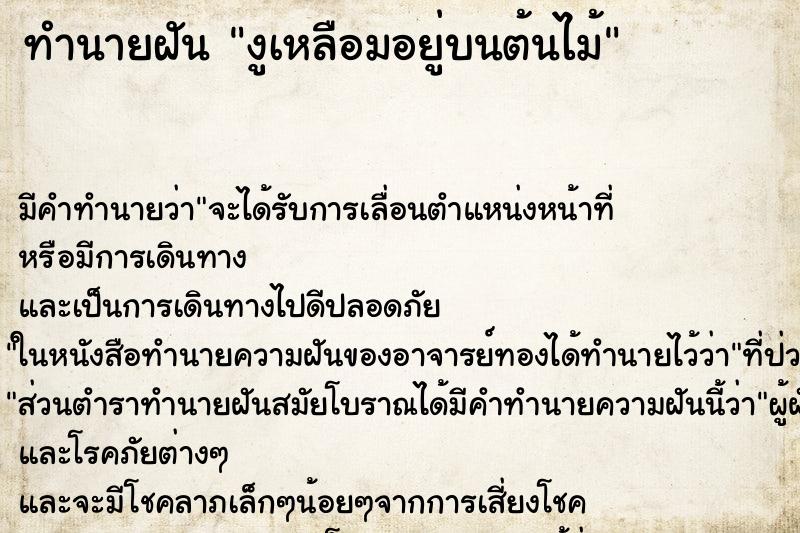ทำนายฝันทำนายฝันงูเหลือมอยู่บนต้นไม้
