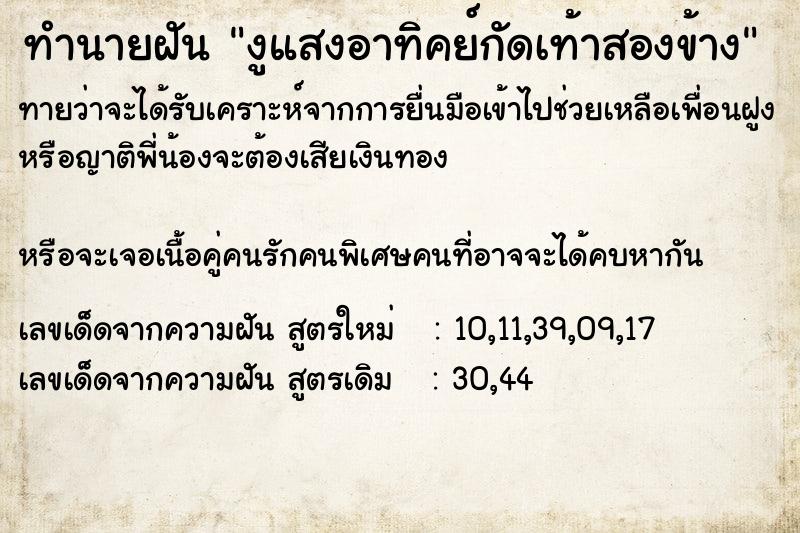 ทำนายฝันงูแสงอาทิคย์กัดเท้าสองข้าง ทำนายฝันทำนายฝันงูแสงอาทิคย์กัดเท้าสองข้าง