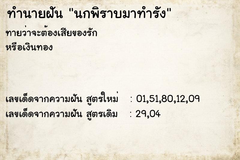 ทำนายฝัน นกพิราบมาทำรัง ทำนายฝัน นกพิราบมาทำรัง