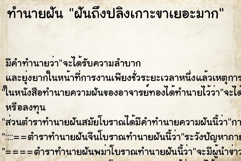 ทำนายฝันทำนายฝันฝันถึงปลิงเกาะขาเยอะมาก
