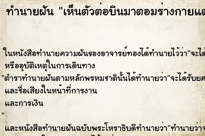 ทำนายฝันทำนายฝันเห็นตัวต่อบินมาตอมร่างกายแต่ไม่ต่อย