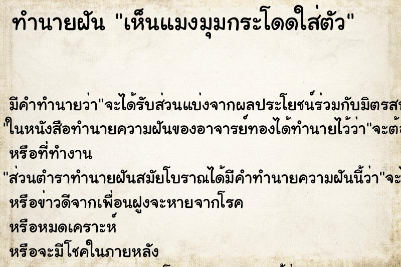 ทำนายฝัน เห็นแมงมุมกระโดดใส่ตัว ทำนายฝัน เห็นแมงมุมกระโดดใส่ตัว