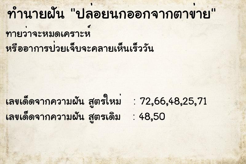ทำนายฝันปล่อยนกออกจากตาข่าย ทำนายฝันทำนายฝันปล่อยนกออกจากตาข่าย