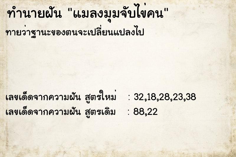 ทำนายฝันทำนายฝันแมลงมุมจับไข่คน