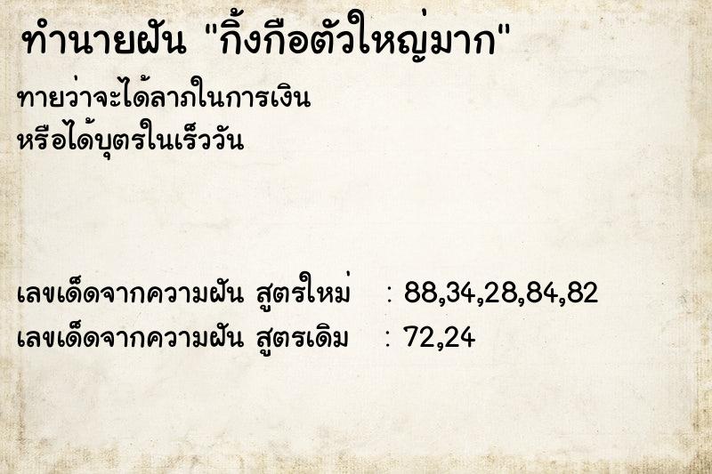 ทำนายฝันทำนายฝันกิ้งกือตัวใหญ่มาก