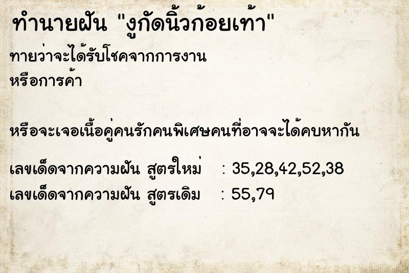 ทำนายฝันงูกัดนิ้วก้อยเท้า ทำนายฝันทำนายฝันงูกัดนิ้วก้อยเท้า