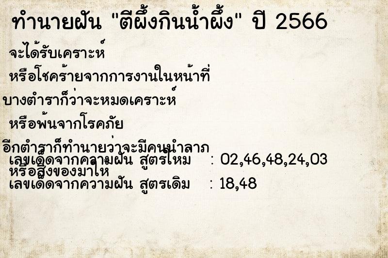 ทำนายฝัน ตีผึ้งกินน้ำผึ้ง ทำนายฝัน ตีผึ้งกินน้ำผึ้ง