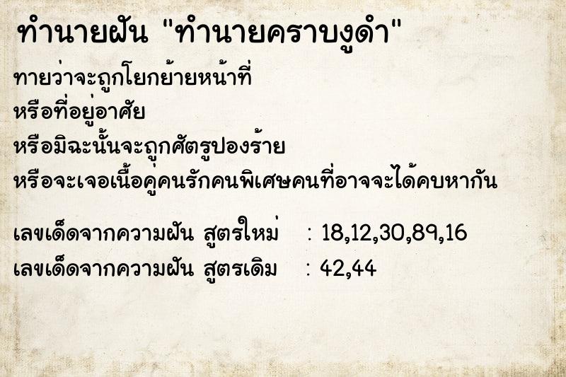 ทำนายฝันทำนายคราบงูดำ ทำนายฝันทำนายฝันทำนายคราบงูดำ