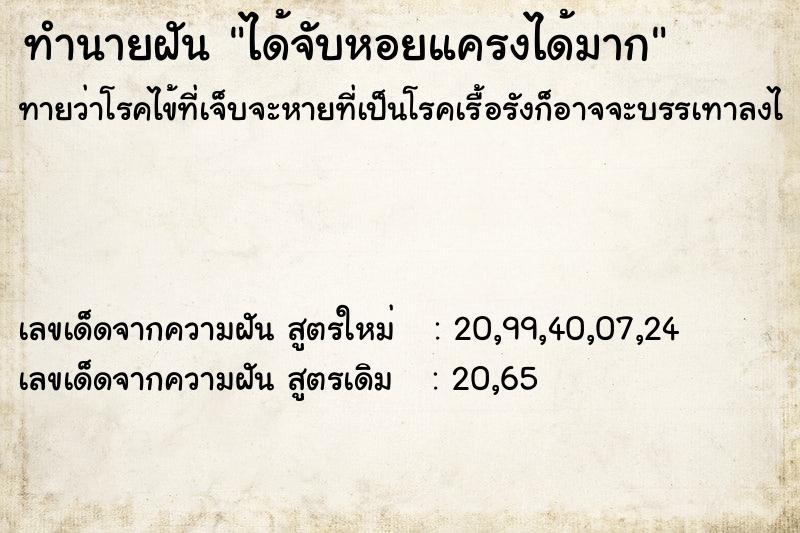ทำนายฝันทำนายฝันได้จับหอยแครงได้มาก