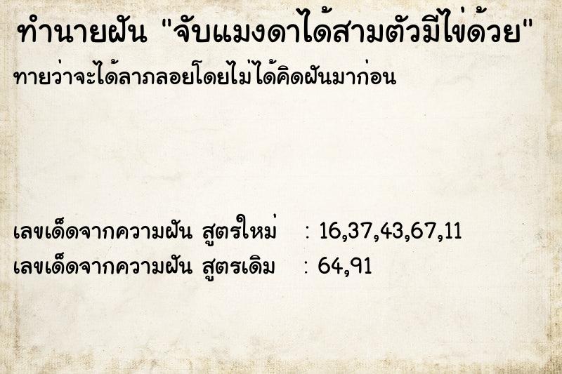 ทำนายฝันจับแมงดาได้สามตัวมีไข่ด้วย ทำนายฝันทำนายฝันจับแมงดาได้สามตัวมีไข่ด้วย