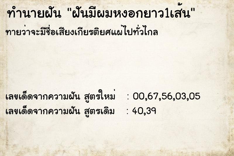 ทำนายฝันฝันมีผมหงอกยาว1เส้น ทำนายฝันทำนายฝันฝันมีผมหงอกยาว1เส้น