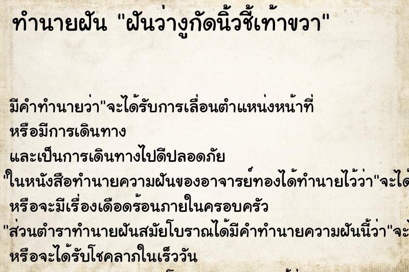 ทำนายฝัน ฝันว่างูกัดนิ้วชี้เท้าขวา ทำนายฝัน ฝันว่างูกัดนิ้วชี้เท้าขวา