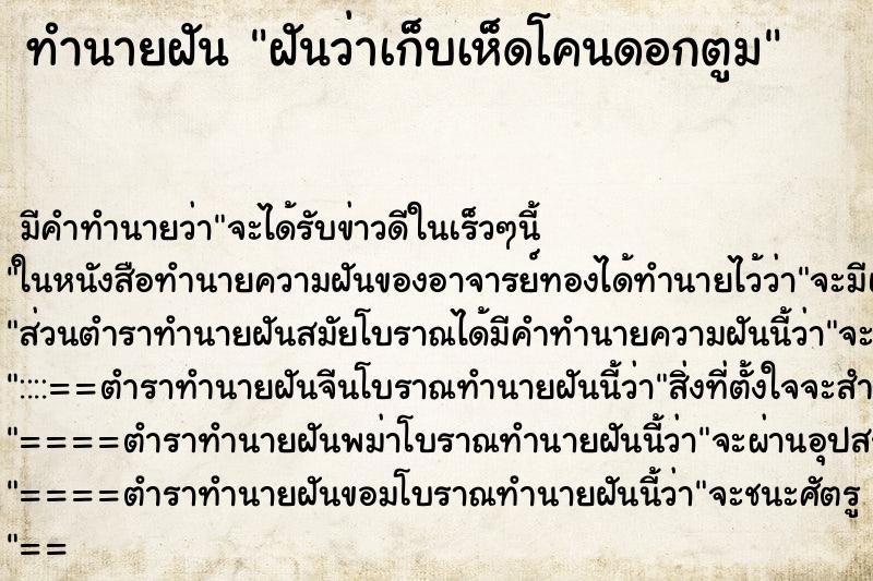 ทำนายฝันฝันว่าเก็บเห็ดโคนดอกตูม ทำนายฝันทำนายฝันฝันว่าเก็บเห็ดโคนดอกตูม