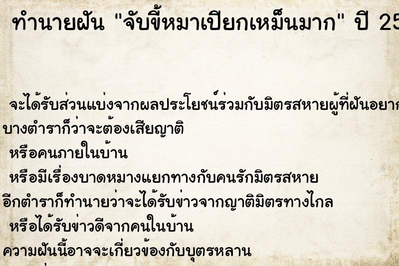 ทำนายฝัน จับขี้หมาเปียกเหม็นมาก