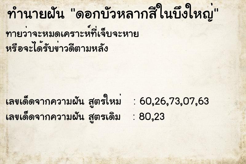 ทำนายฝัน ดอกบัวหลากสีในบึงใหญ่ ทำนายฝัน ดอกบัวหลากสีในบึงใหญ่