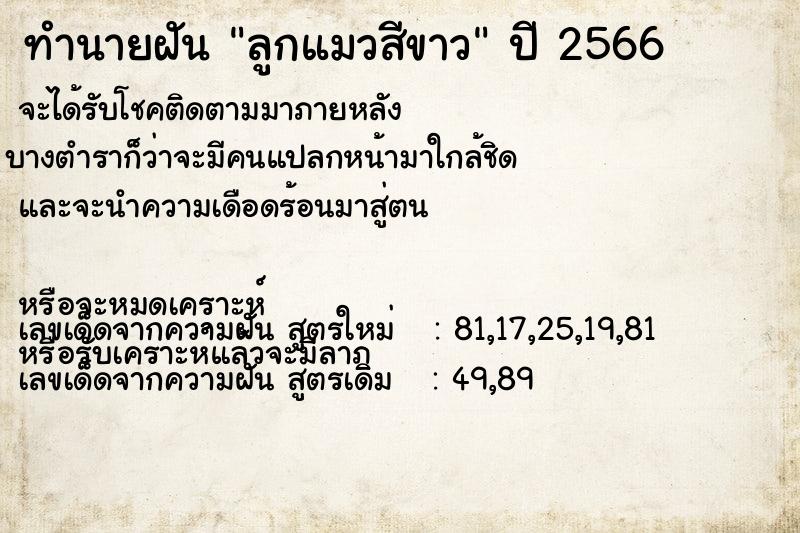 ทำนายฝัน ลูกแมวสีขาว ทำนายฝัน ลูกแมวสีขาว