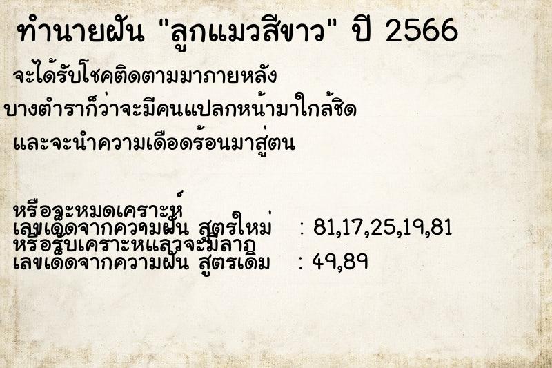 ทำนายฝัน ลูกแมวสีขาว ตำราโบราณ แม่นที่สุดในโลก