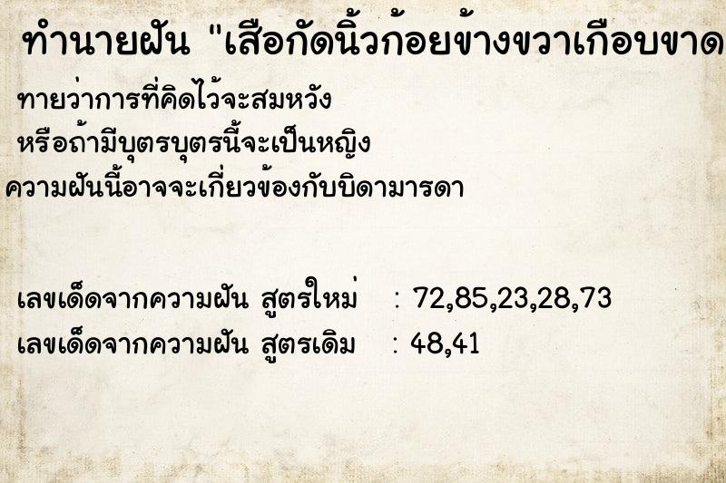 ทำนายฝันเสือกัดนิ้วก้อยข้างขวาเกือบขาด ทำนายฝันทำนายฝันเสือกัดนิ้วก้อยข้างขวาเกือบขาด