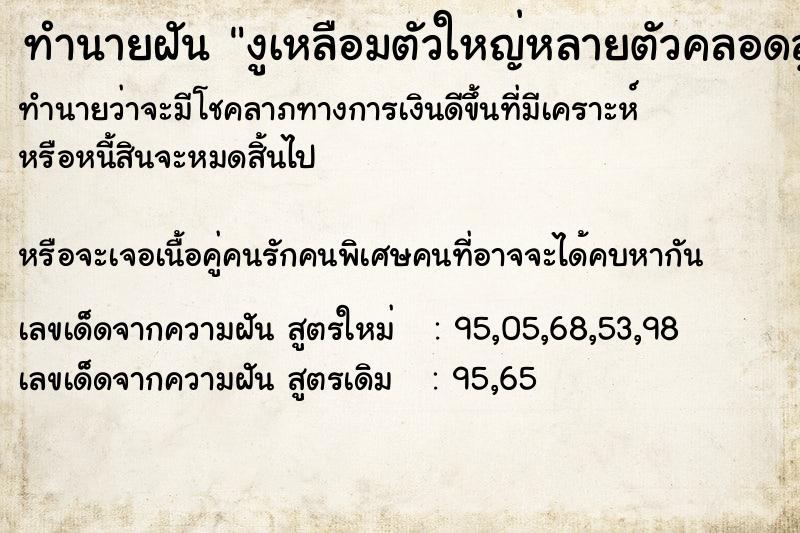 ทำนายฝันงูเหลือมตัวใหญ่หลายตัวคลอดลูก ทำนายฝันทำนายฝันงูเหลือมตัวใหญ่หลายตัวคลอดลูก