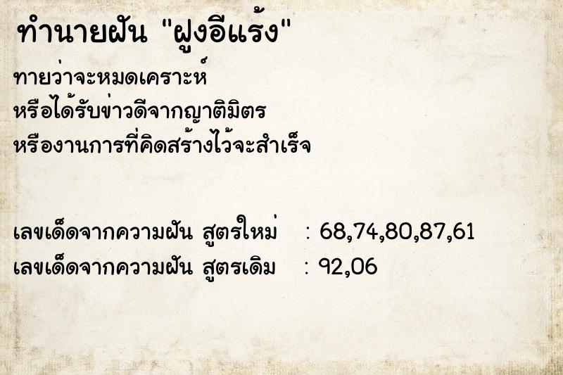 ทำนายฝันฝูงอีแร้ง ทำนายฝันทำนายฝันฝูงอีแร้ง