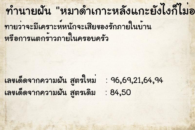 ทำนายฝันหมาดำเกาะหลังแกะยังไงก็ไม่ออก ทำนายฝันทำนายฝันหมาดำเกาะหลังแกะยังไงก็ไม่ออก