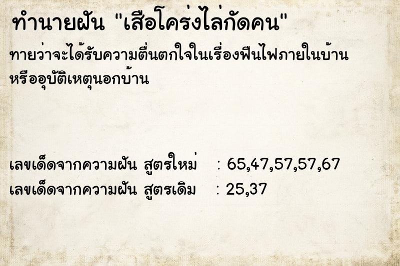 ทำนายฝันเสือโคร่งไล่กัดคน ทำนายฝันทำนายฝันเสือโคร่งไล่กัดคน