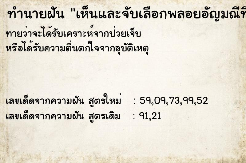 ทำนายฝันทำนายฝันเห็นและจับเลือกพลอยอัญมณีที่อยู่บนพื้น
