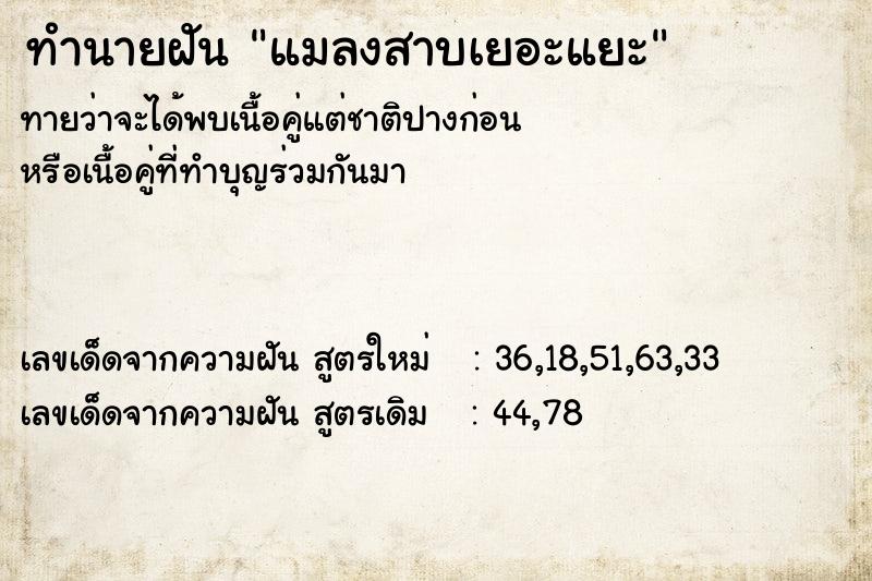 ทำนายฝัน แมลงสาบเยอะแยะ ทำนายฝัน แมลงสาบเยอะแยะ