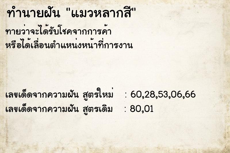 ทำนายฝันทำนายฝันแมวหลากสี
