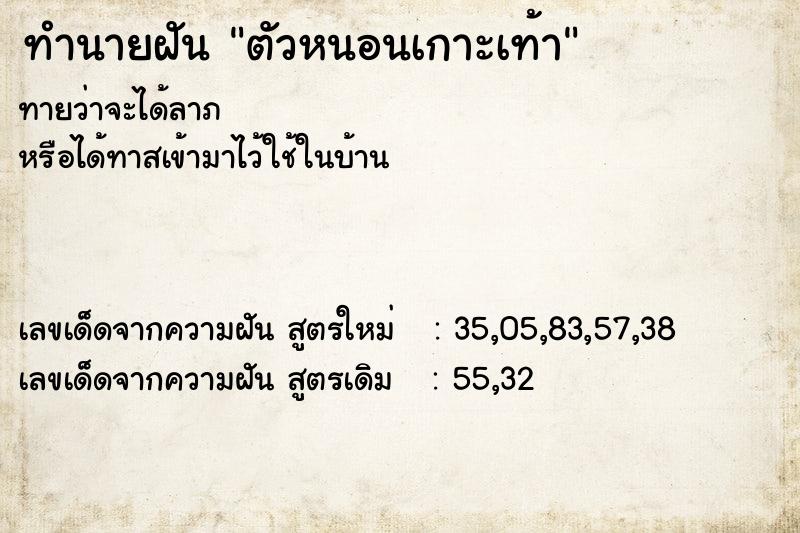 ทำนายฝันตัวหนอนเกาะเท้า ทำนายฝันทำนายฝันตัวหนอนเกาะเท้า