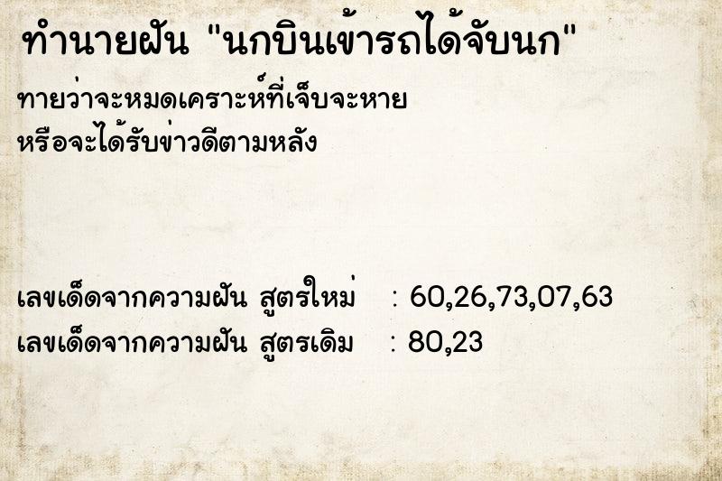 ทำนายฝันนกบินเข้ารถได้จับนก ทำนายฝันทำนายฝันนกบินเข้ารถได้จับนก
