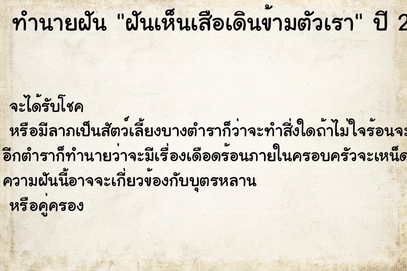 ทำนายฝันฝันเห็นเสือเดินข้ามตัวเรา ทำนายฝันทำนายฝันฝันเห็นเสือเดินข้ามตัวเรา