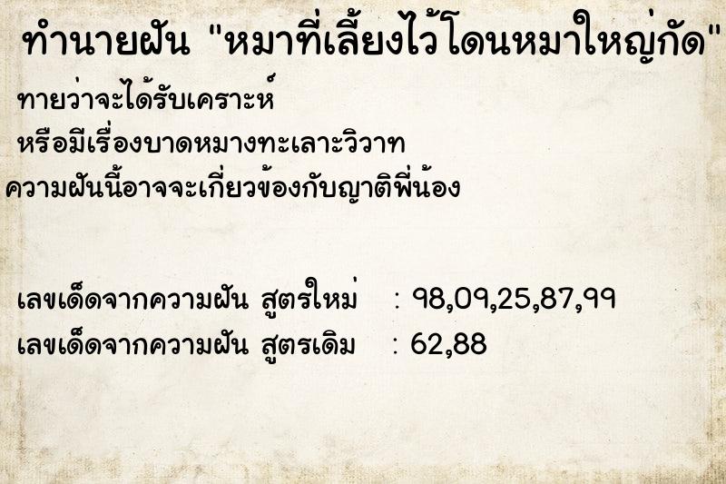 ทำนายฝันทำนายฝันหมาที่เลี้ยงไว้โดนหมาใหญ่กัด
