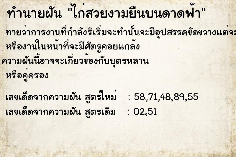 ทำนายฝันไก่สวยงามยืนบนดาดฟ้า ทำนายฝันทำนายฝันไก่สวยงามยืนบนดาดฟ้า