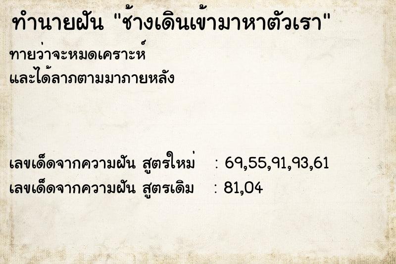 ทำนายฝันทำนายฝันช้างเดินเข้ามาหาตัวเรา