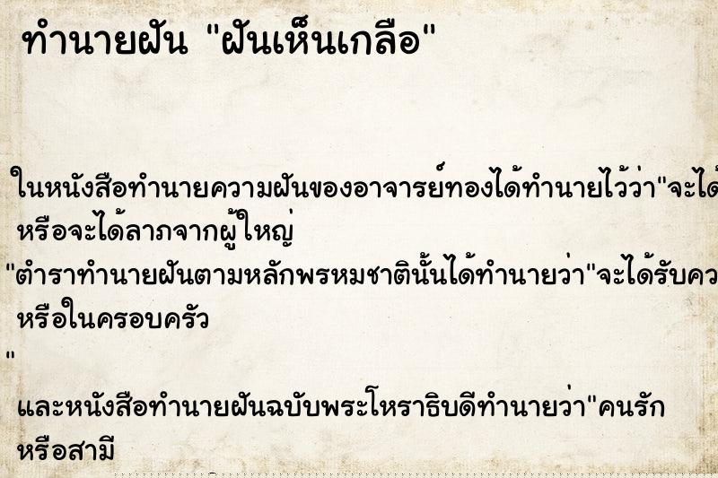 ทำนายฝันฝันเห็นเกลือ ทำนายฝันทำนายฝันฝันเห็นเกลือ