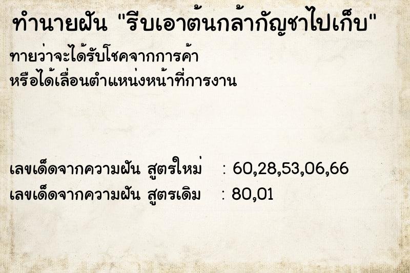 ทำนายฝันทำนายฝันรีบเอาต้นกล้ากัญชาไปเก็บ