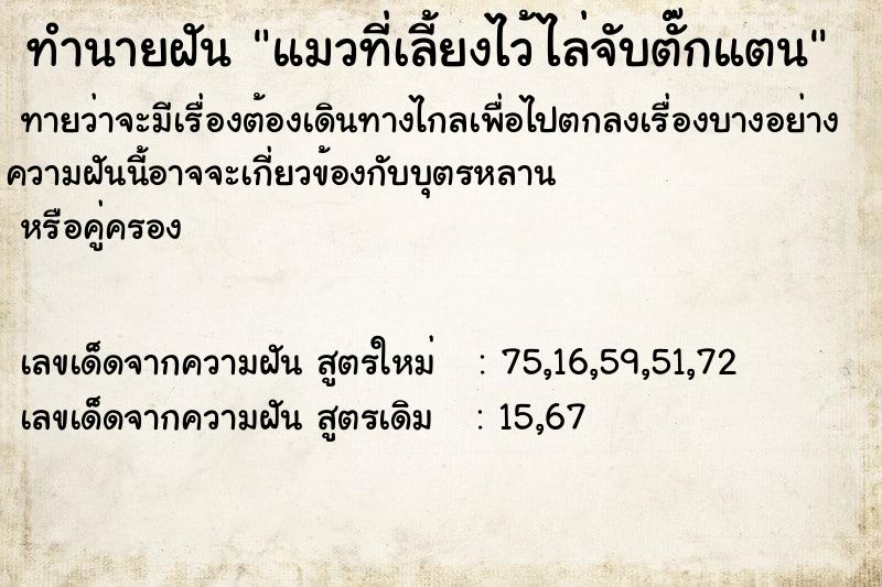 ทำนายฝัน แมวที่เลี้ยงไว้ไล่จับตั๊กแตน ตำราโบราณ แม่นที่สุดในโลก