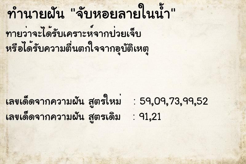 ทำนายฝันจับหอยลายในน้ำ ทำนายฝันทำนายฝันจับหอยลายในน้ำ