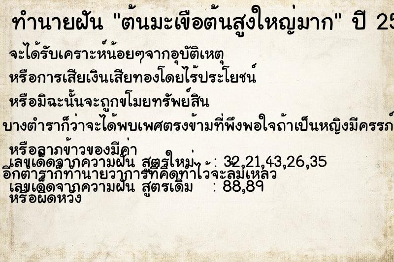 ทำนายฝัน ต้นมะเขือต้นสูงใหญ่มาก ทำนายฝัน ต้นมะเขือต้นสูงใหญ่มาก