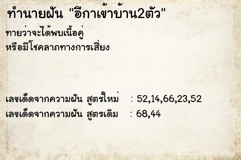ทำนายฝันทำนายฝันอีกาเข้าบ้าน2ตัว