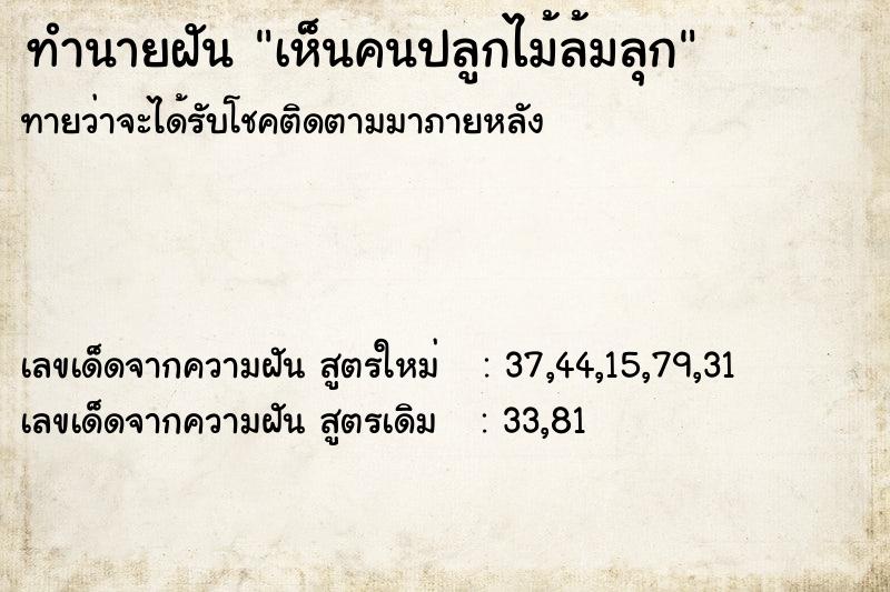 ทำนายฝันเห็นคนปลูกไม้ล้มลุก ทำนายฝันทำนายฝันเห็นคนปลูกไม้ล้มลุก