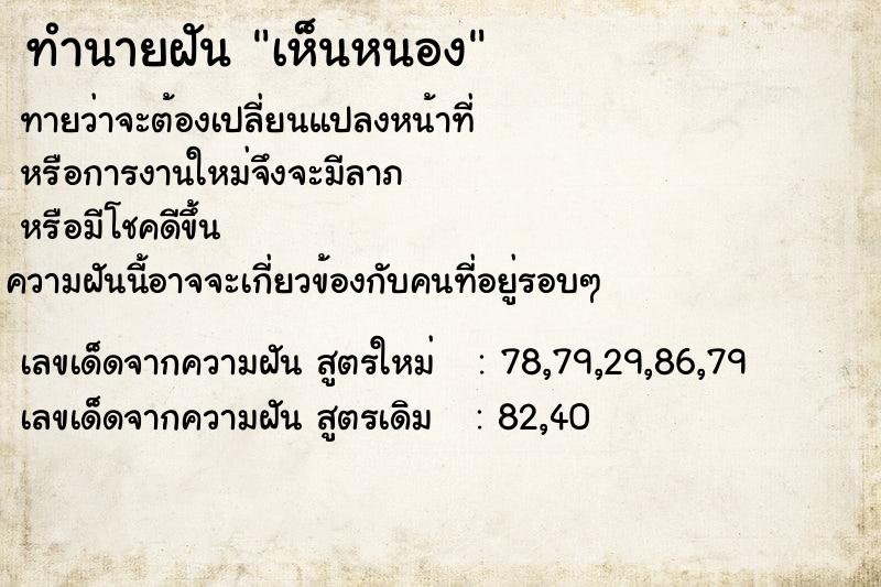 ทำนายฝันเห็นหนอง ทำนายฝันทำนายฝันเห็นหนอง